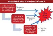 Quyết tâm triển khai có hiệu quả nhiệm vụ được giao tại Nghị quyết 63/NQ-CP ngày 29/6/2021 của Chính phủ