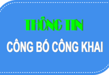 Báo cáo minh bạch 2025